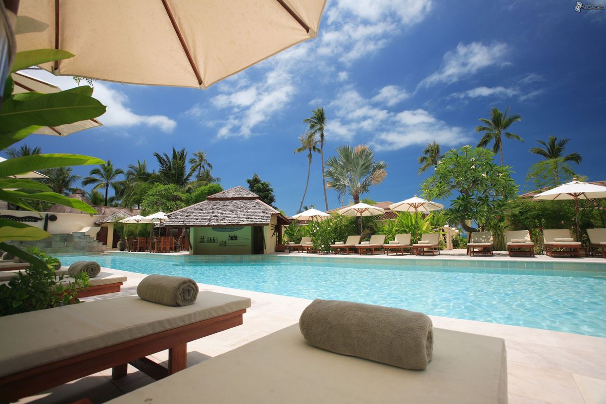 Resort pool lined with palm trees and sun loungers